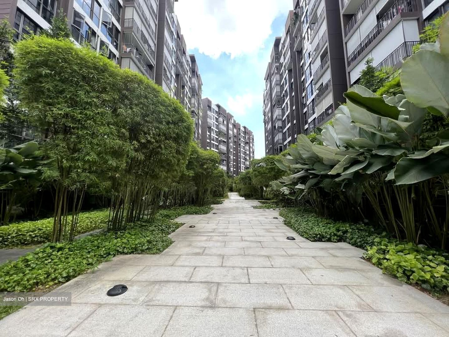 Bellewoods (D25), Condominium #609054311